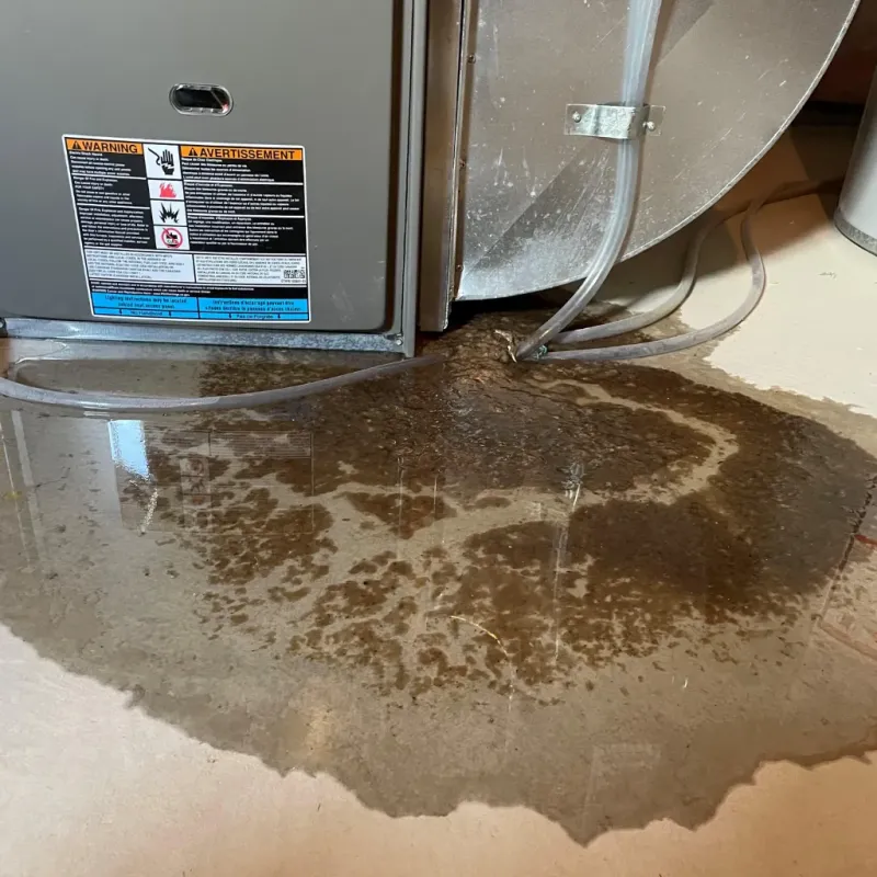 Appliance Leak Cleanup in Eaton Rapids, MI